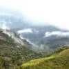 Peru - Condor Huabal